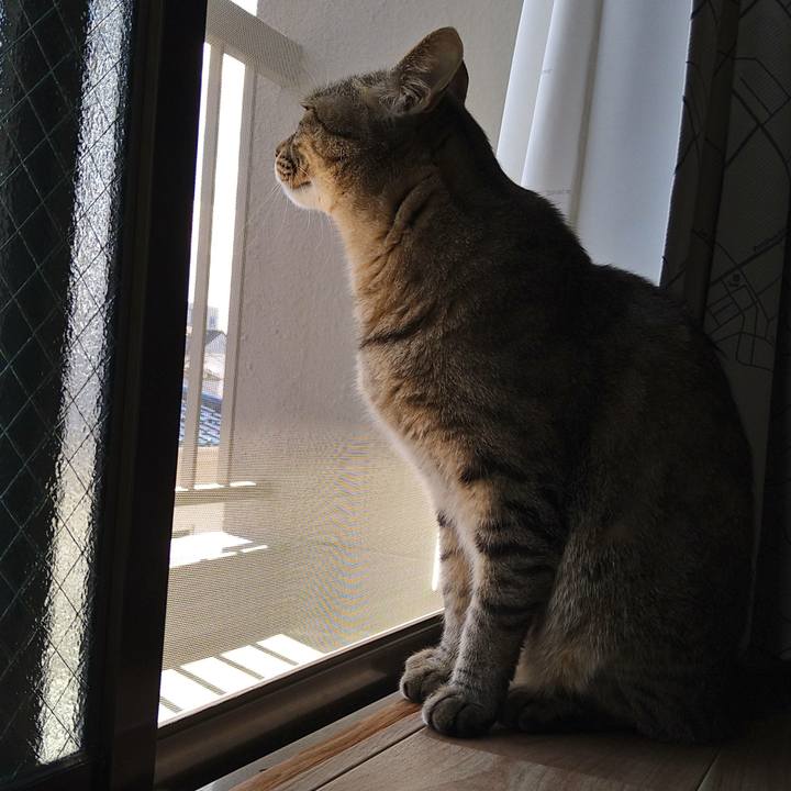 6dd844a5 68c5 4f2e 8336 2f35fc97f3ad 1654307711845