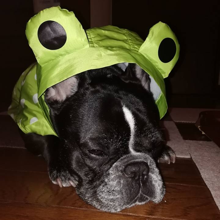 6dd870dd 4101 4cf3 b1cc 112726f33585 1583829287139