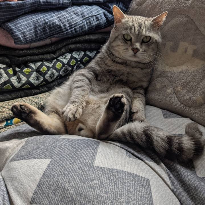 6dd89041 c39e 4eed ad4f e2812fc3b941 1773533972356