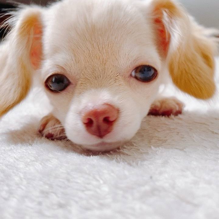 6dd8c9f5 d707 4388 9030 51d2f0fcbf30 1765371214550