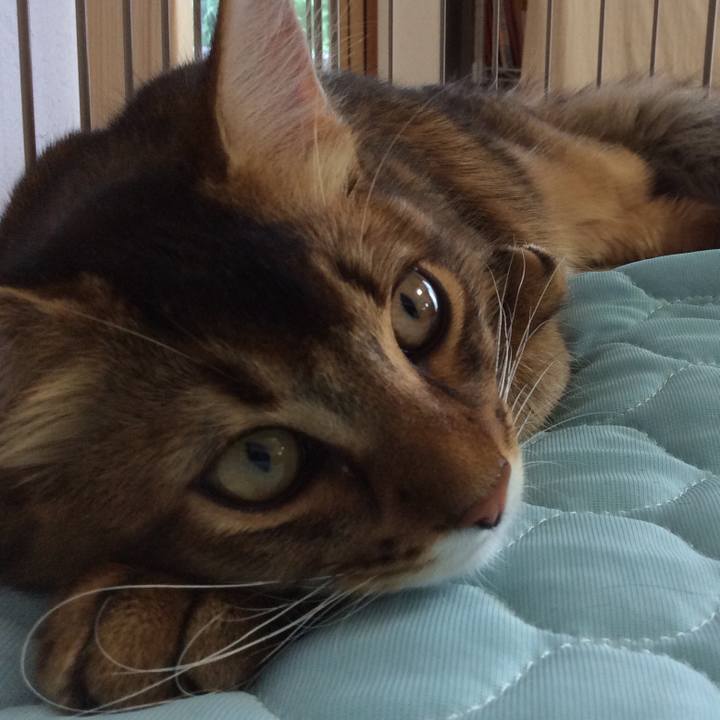 6dd92dd7 9f59 4306 ba70 db8223d91dee 1663913052457