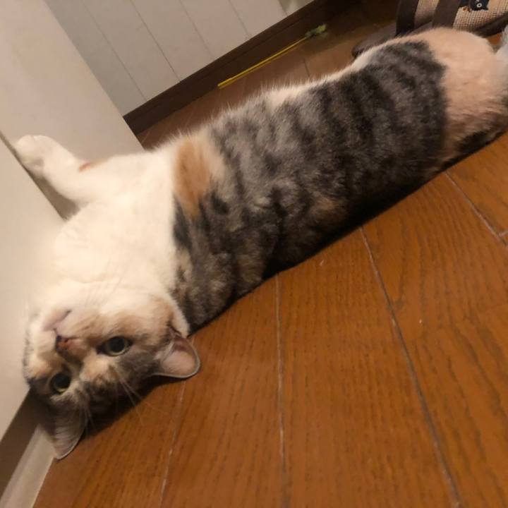 6dd94267 6df7 4718 8b7f 50dd154bca34 1585839616828