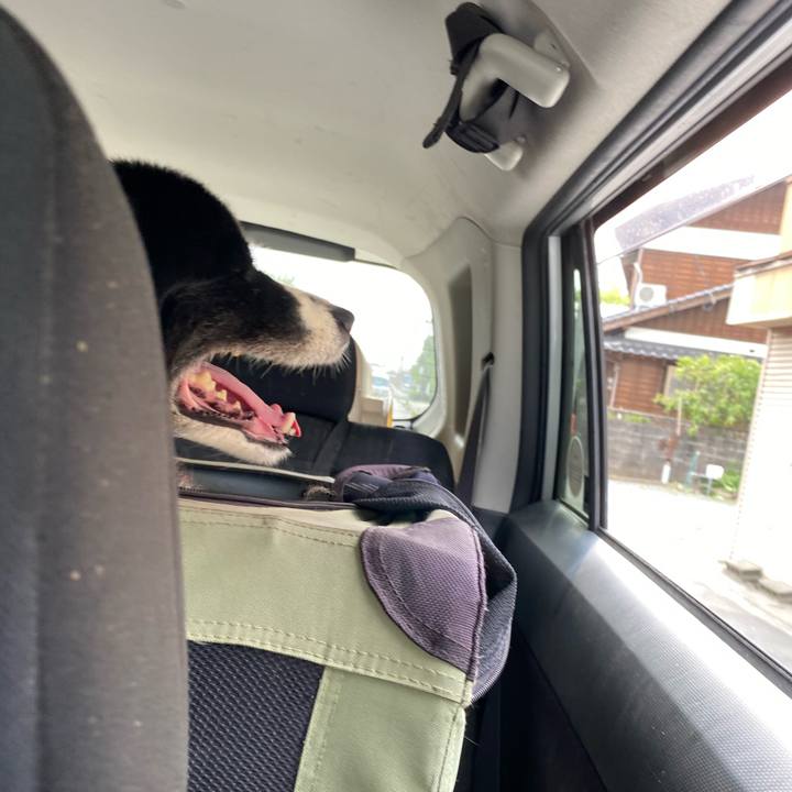 6dd95704 08b5 4ca9 9594 91ff6553f564 1657498306713