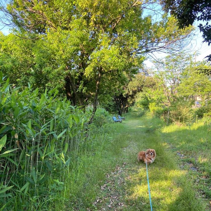 6dd95951 681a 49c9 9678 aa1a22586a9c 1653861015911