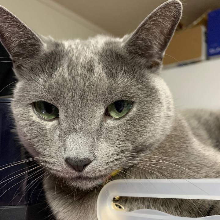 6dd96124 bd33 4c47 9650 a0d51f72afa4 1642569041618