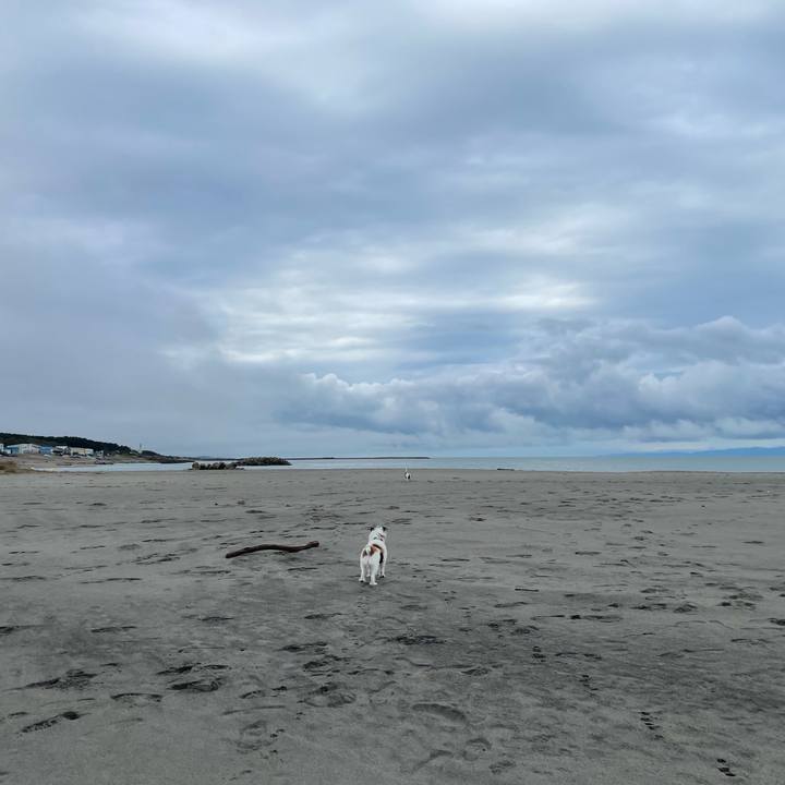 6dd96bd2 4b8b 4165 a98c 79a5f7a2f523 1696909163115