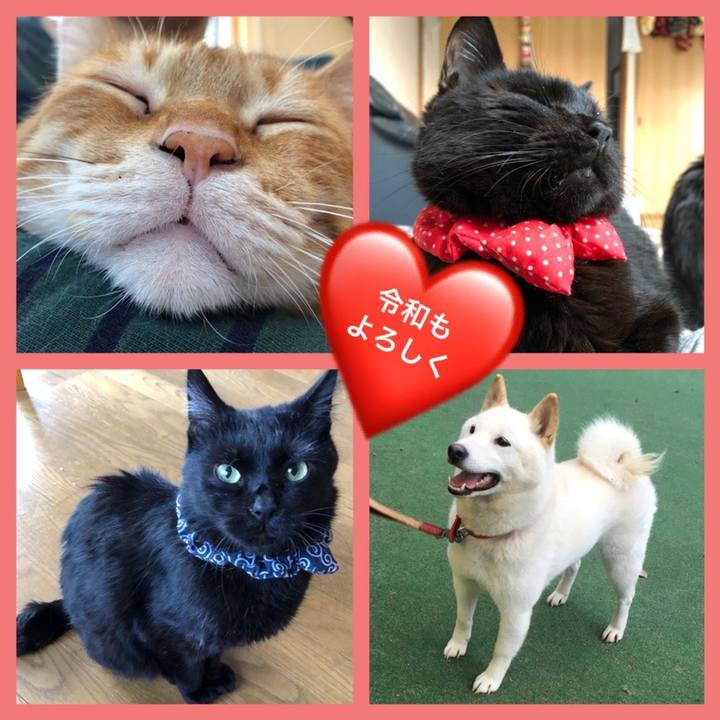 6dd995d7 b40d 4286 b7ae d297d323610b 1556672005214