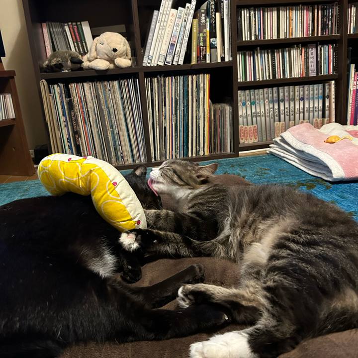 6dd9d9f7 d394 41c4 a7f5 23947db2129c 1728565556725