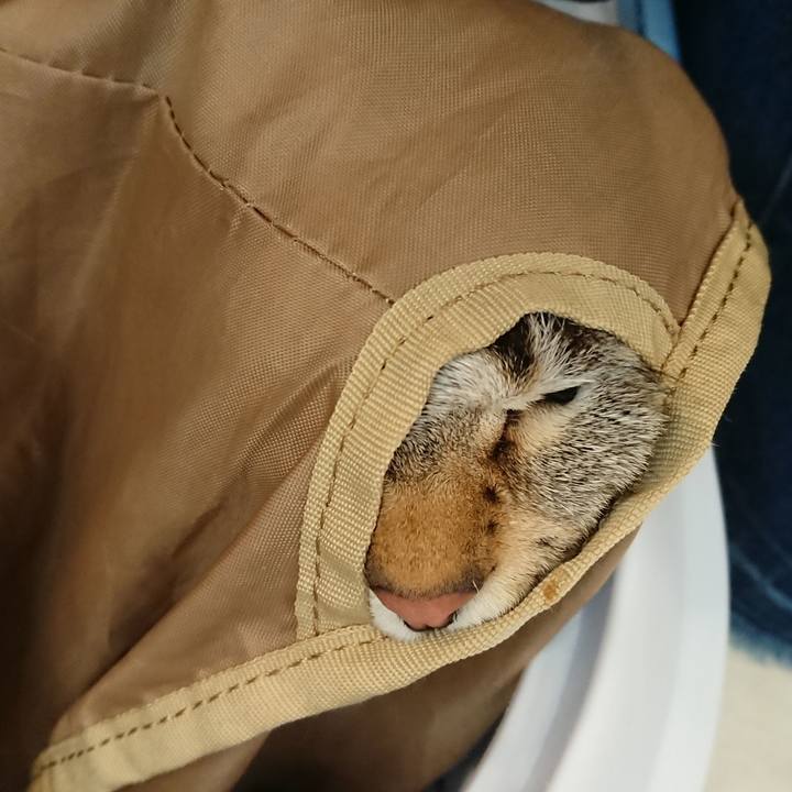 6dd9ee1c 553b 4c6b a83f 5e83ac4a9bb0 1518842295042