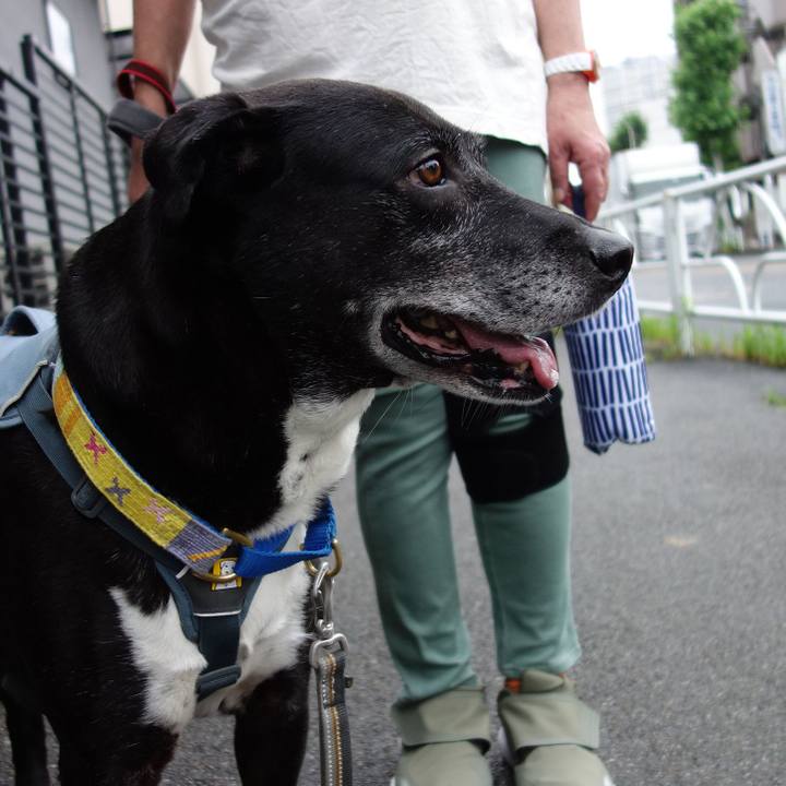 6dda2fc4 bcc7 4e57 a78c 5e4673f8638e 1749946720726