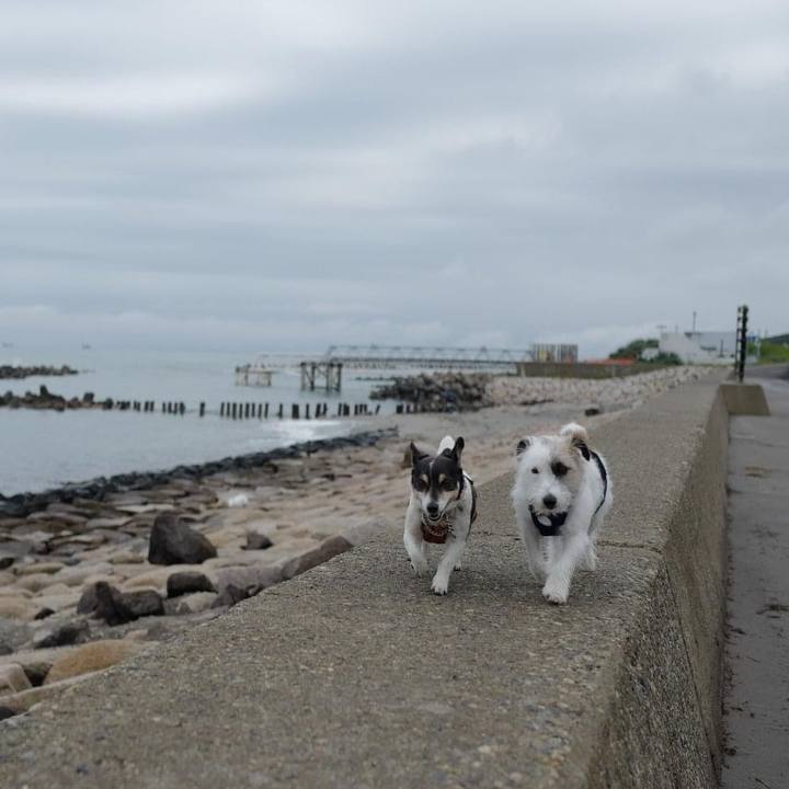 6dda3d98 8a8b 44c8 9f97 0b6e8fe97e57 1623801488910