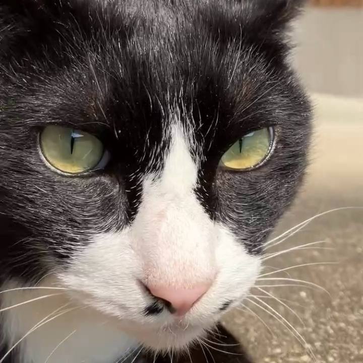 6dda70db 087c 4f46 8b41 f299a89fad0c 1742613513544