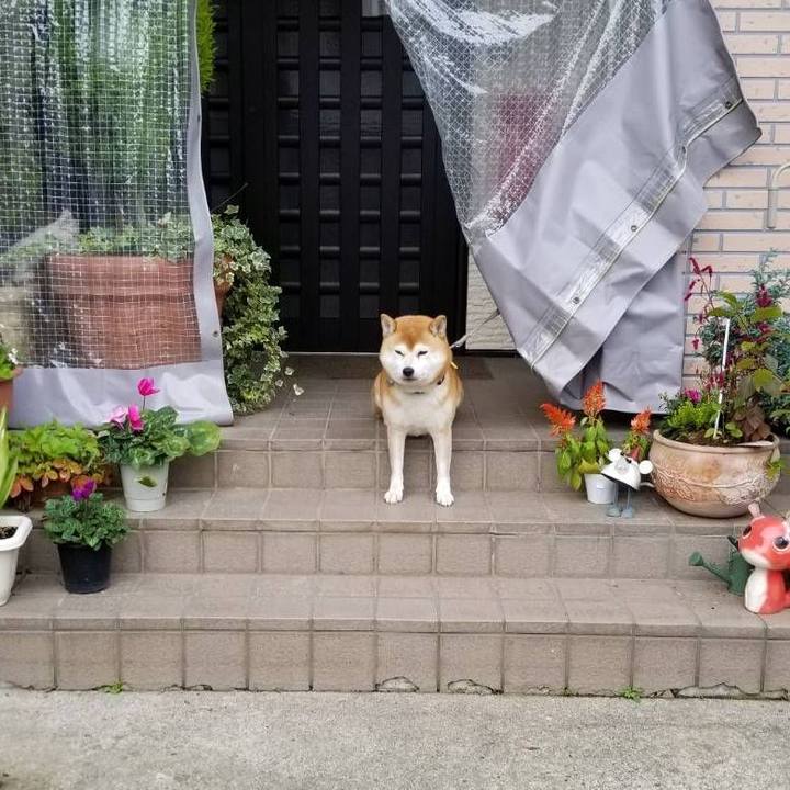 6dda73c9 61b4 4935 8604 2df013104118 1572996430109