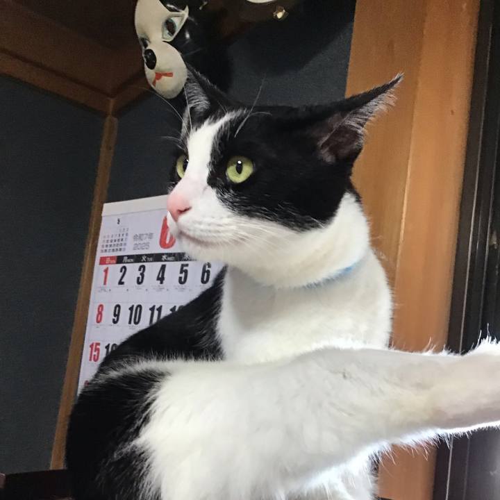 6dda7d84 e83f 45d6 afd4 386df66673a4 1749030554847