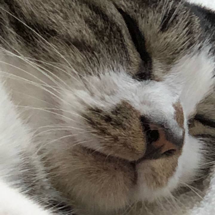 6dda8222 8baa 46a4 b097 899f339a2d03 1533362953223