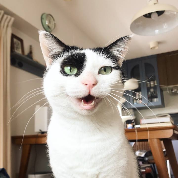 6dda94d7 a7f7 4cc3 927a 2ee7ce73fc4d 1616139274056