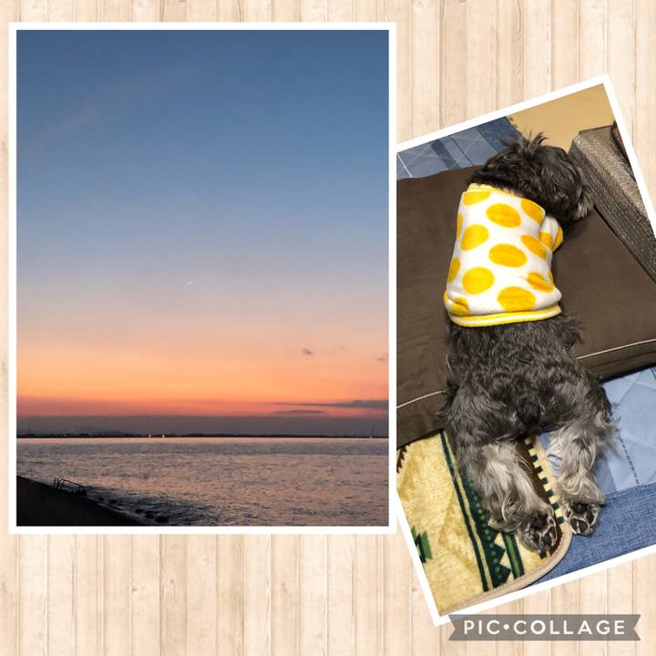 6ddad263 2f72 4110 8344 623435418641 1707746317753