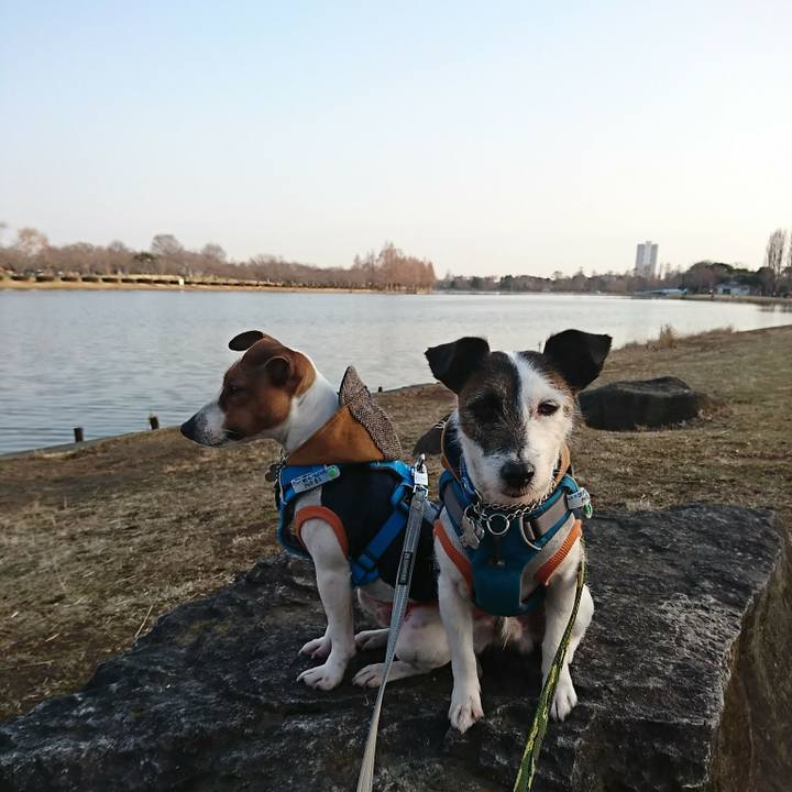 6ddb16fa d71d 455a aeeb 6208fa81be01 1551425347069