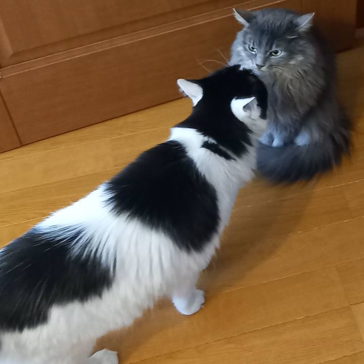 6ddb1cf8 047f 40ac a869 795dbc4cfa4a 1608072949742