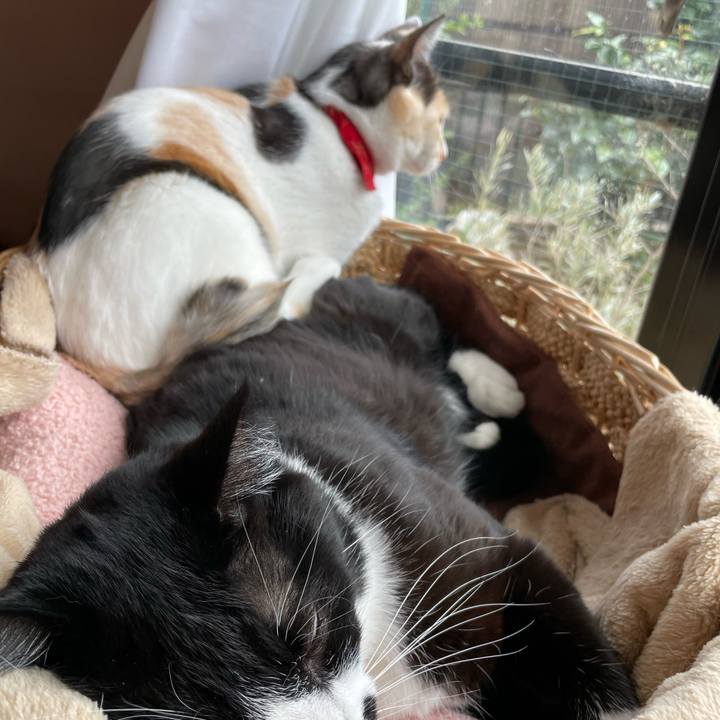 6ddb3abc df3a 499a 88f5 f8ece72dc284 1705901557459