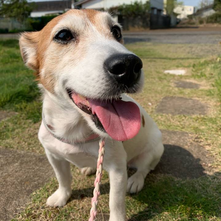 6ddb4baa ac42 4426 84ae ae3f0b5c8c40 1592344891921