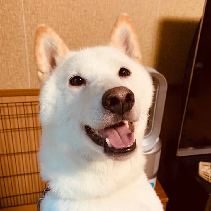 6ddb58b2 a3cb 4b4f 94fb 0ab19db41ecf 1566074936795