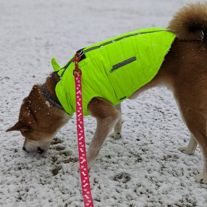 6ddb5f69 919d 4bc3 a4f5 c51c4e1add8a 1707119559780