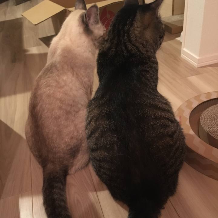 6ddb9694 47a3 4634 898f d6d764fa8d4d 1566043496813