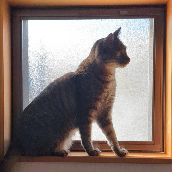 6ddba2bd 1b0f 4a04 abaa e54f7afe8254 1769177955902