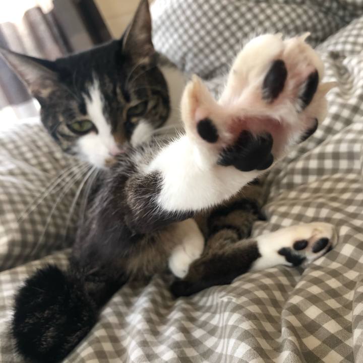 6ddbd1be 612e 4036 a513 1a438919d807 1582534734251