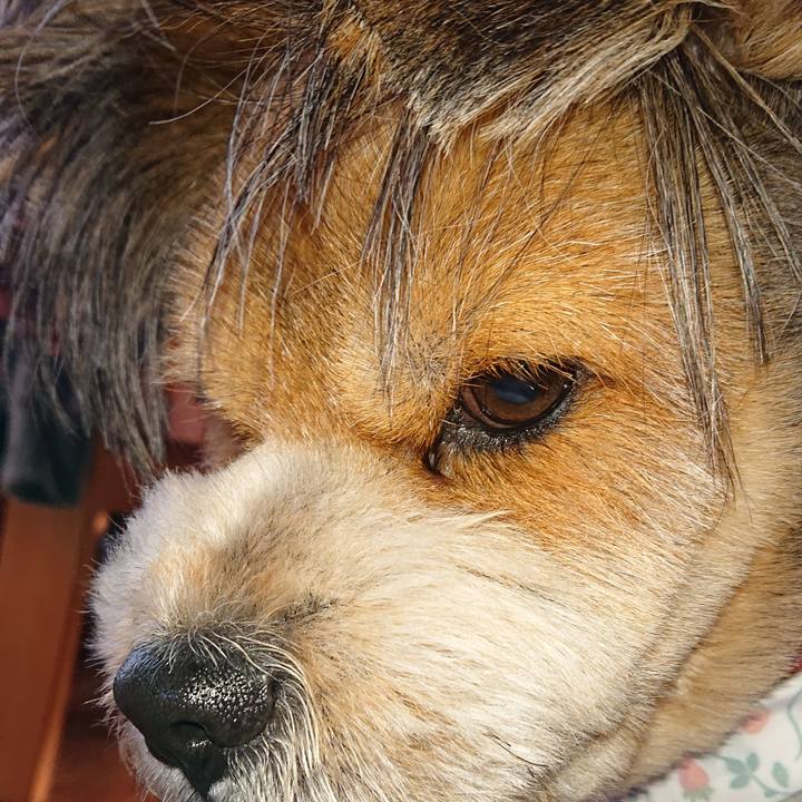 6ddbe232 1cec 4d98 af80 95286f850041 1555143842138