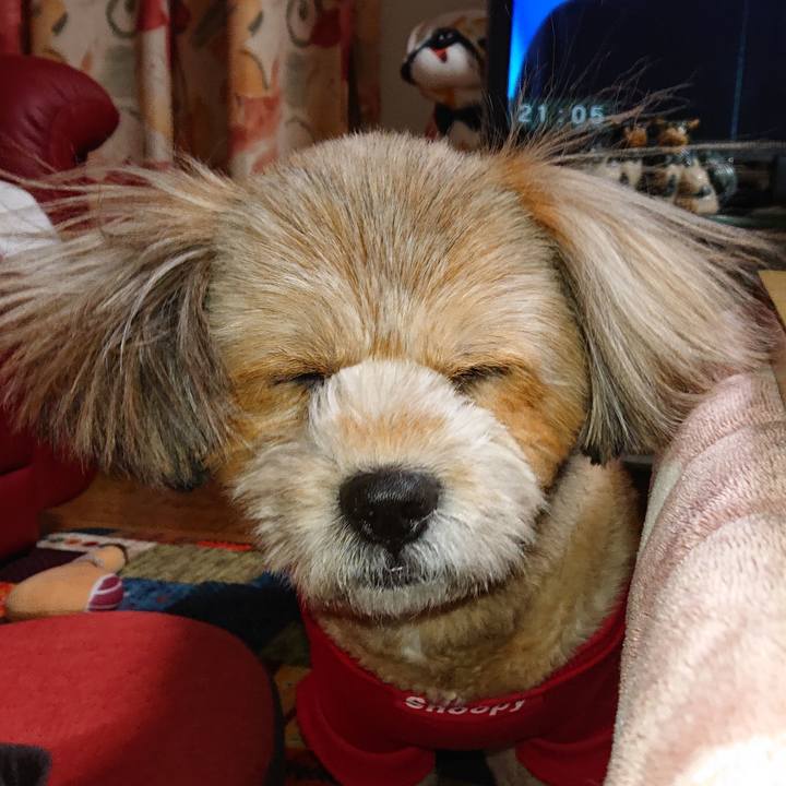 6ddbe7a7 b51f 4bcd b24a 9be1acf65034 1607342835958