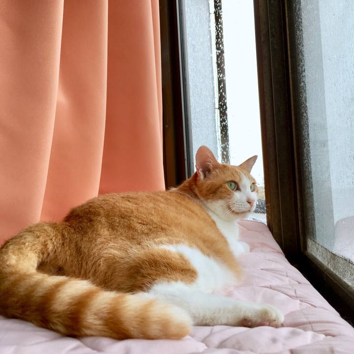 6ddbeec0 741f 4d97 9d66 f7090c5e0a83 1566269284282