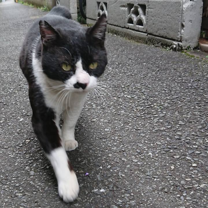 6ddc0153 c64c 4ca0 aad7 5c1385c0a9c6 1584080973467