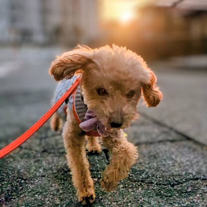 6ddc1b86 dde2 4afe a4ea f52318129376 1770849629969