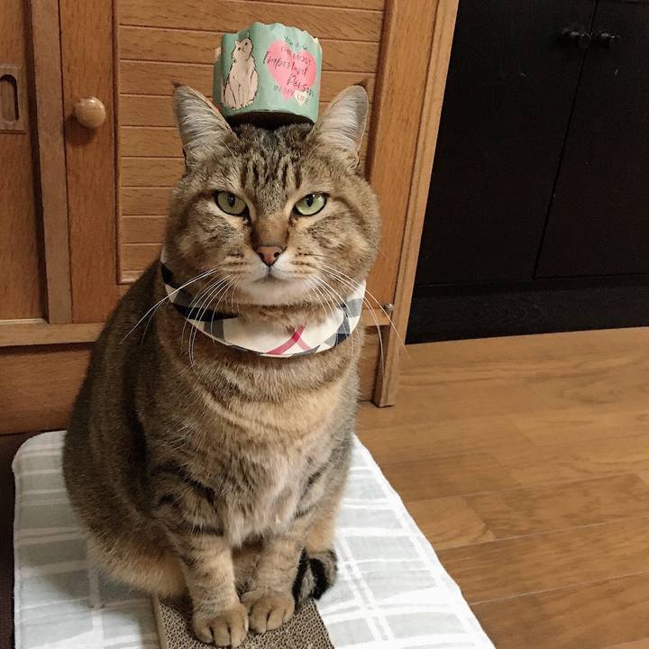 6ddc2109 9968 4e87 962b 4b2d4f02a9be 1612414711770