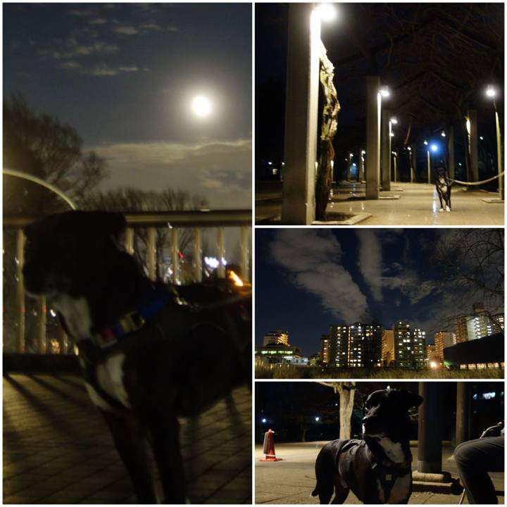 6ddc2961 36b3 42de ac72 aa24f01078d2 1642591181859