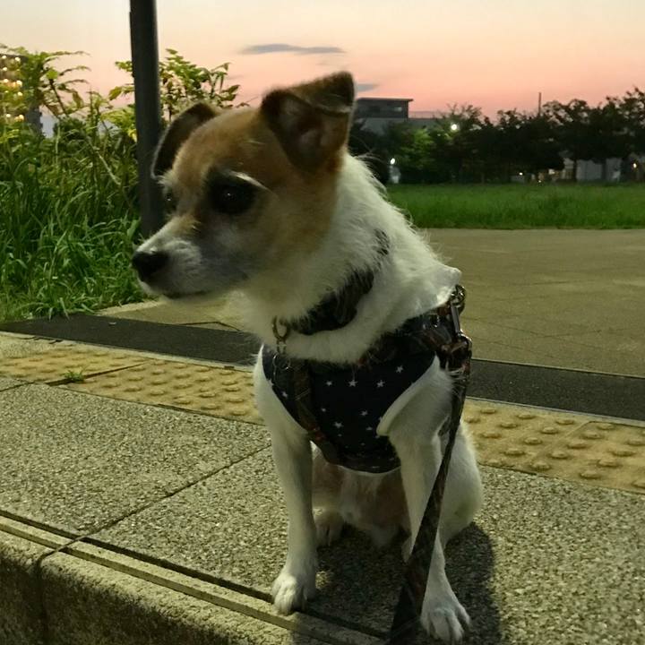 6ddc5003 6285 4793 8def fc82a9ef66b8 1566037010966