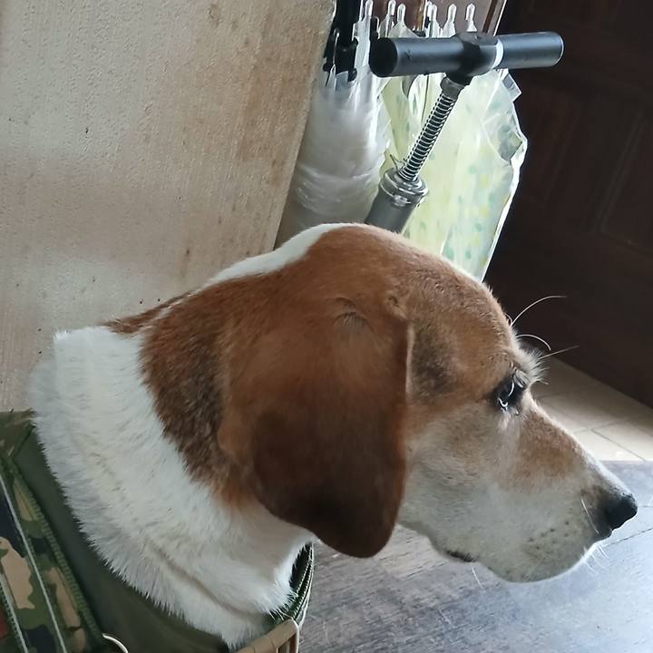 6ddc98bc aefe 4287 aacc 0be8023f06c7 1756358143792