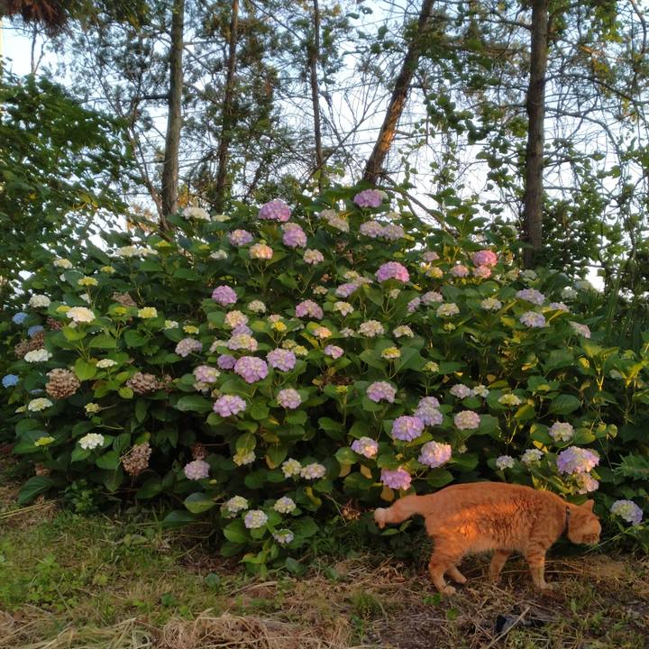 6ddcbff0 4f6e 4df9 9a5b 4e6fee13db57 1719007989645