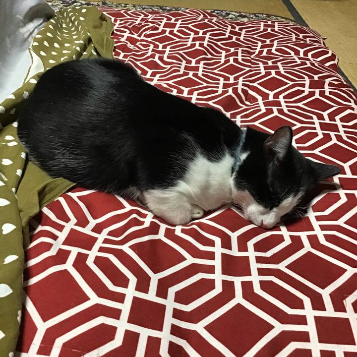 6ddcc7c2 e0b3 4664 9cd0 d80c34b5d94b 1634636255691