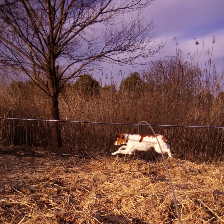 6ddcdff2 11b7 4b76 91a8 ff4da6887869 1518913373691