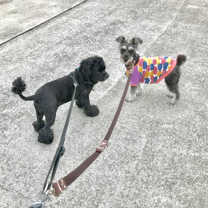 6ddce7ca 4e39 4c0d 9168 b01bce405ee3 1561526757352