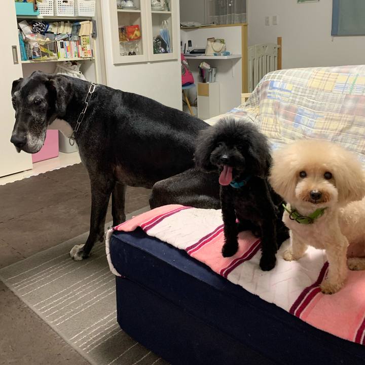 6ddd4f51 71ee 4c14 9411 9be0e3149e80 1601812798293