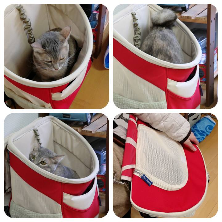 6ddd575e 8482 4aef 8e77 e7cc57d01b2b 1518523741910