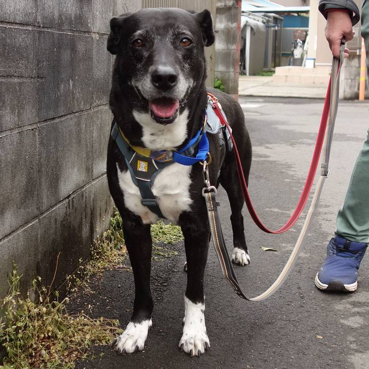 6ddd8d34 063a 4e48 a317 3f89dab6aac5 1744332519978