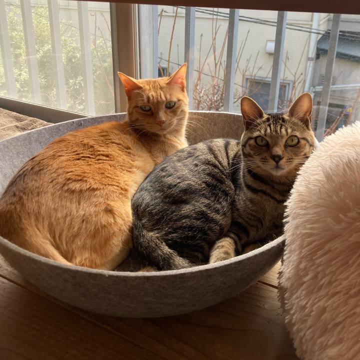 6ddda29d 5d67 461c b8a1 1e57a60f025f 1675487874810