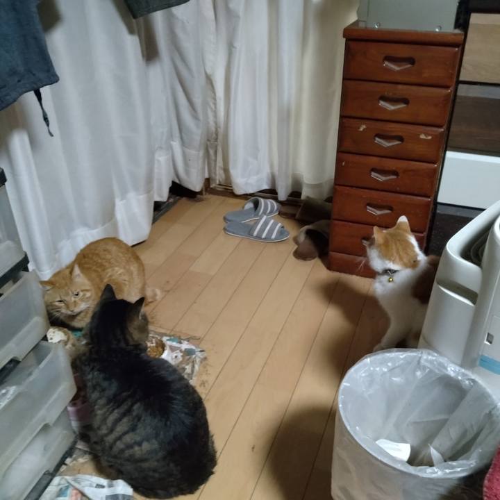 6dddb89d fd30 4a18 bce8 b18322f2fce7 1766698083846