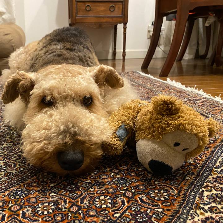 6dddc297 f172 42b1 986f f96208c713b8 1632089637668