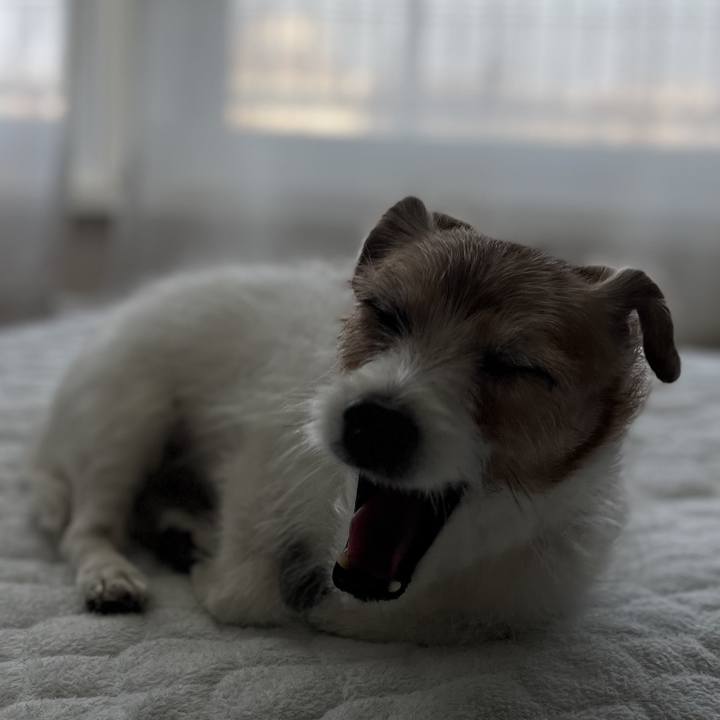 6ddde783 7a37 4fd9 a6ad 1f526e3c48ed 1762049042271